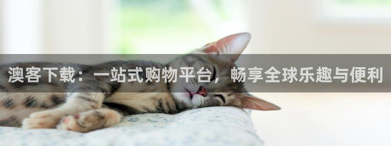 ONE游戏平台官网：澳客下载：一站式购物平台，畅享全球乐趣与便利