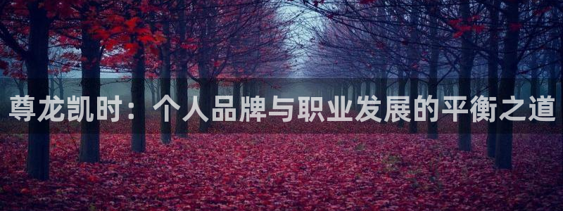 ONE游戏体育1招商：尊龙凯时：个人品牌与职业发展的平衡之道
