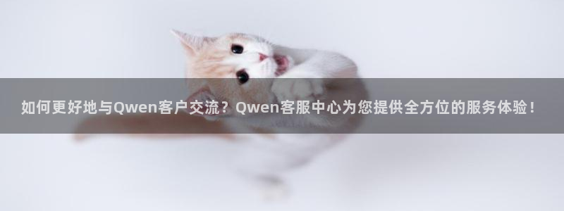 netorase phone游戏：如何更好地与Qwen客户交流？Qwen客服中心为您提供全方位的服务体验！