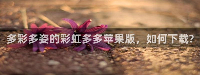 ONE游戏体育平台开号链接：多彩多姿的彩虹多多苹果版，如何下载?